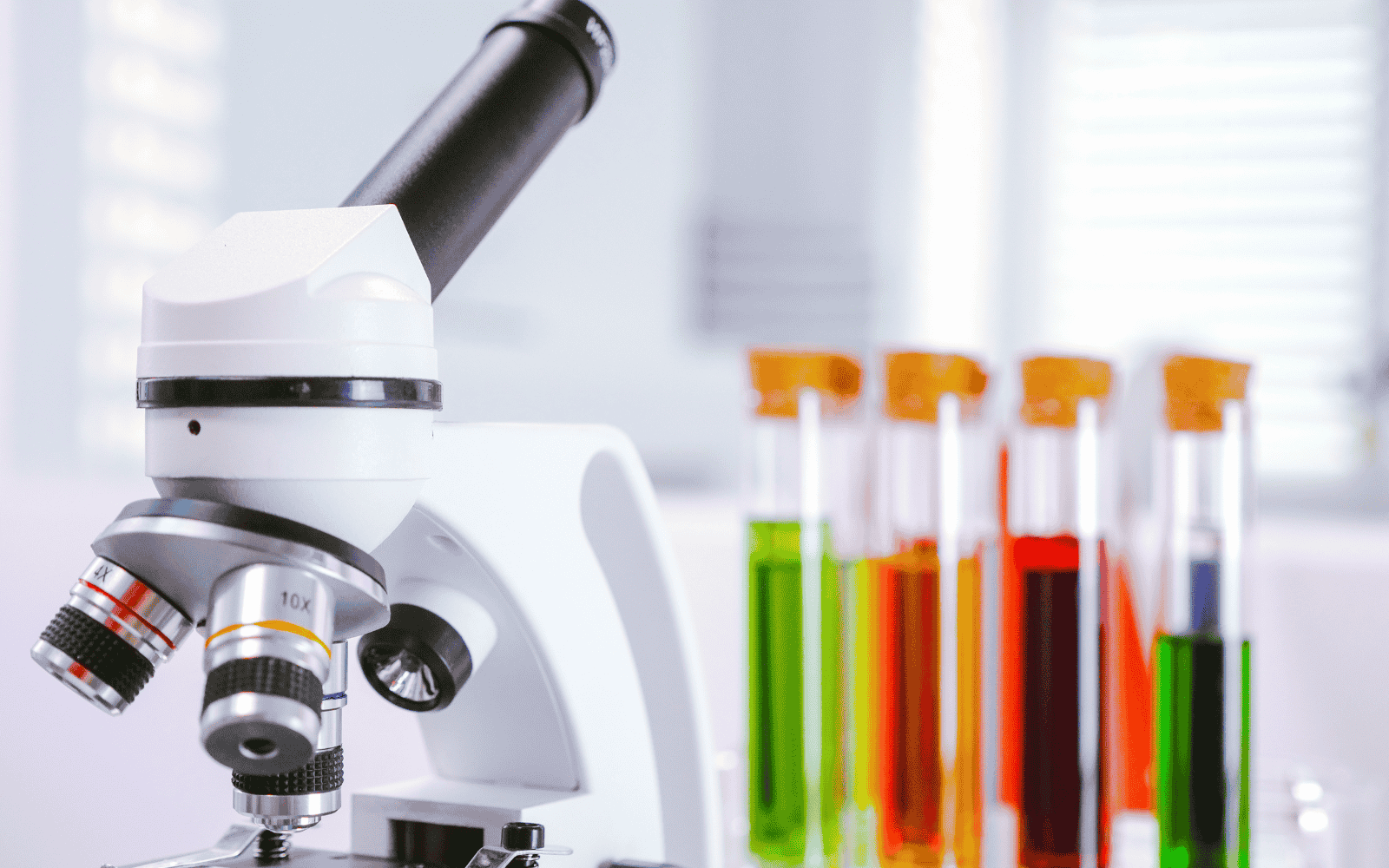 Laboratory